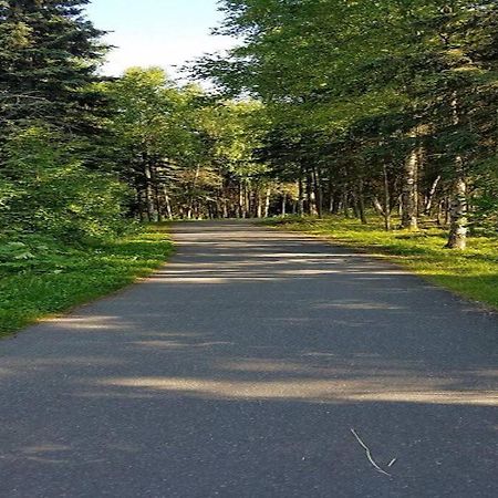 Moose Meadows- Near The Airport, Centrally Located Anchorage Bagian luar foto
