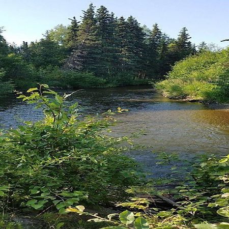 Moose Meadows- Near The Airport, Centrally Located Anchorage Bagian luar foto