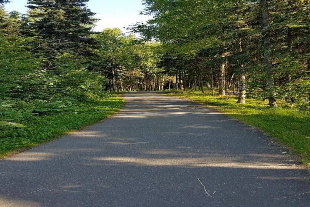 Moose Meadows- Near The Airport, Centrally Located Anchorage Bagian luar foto