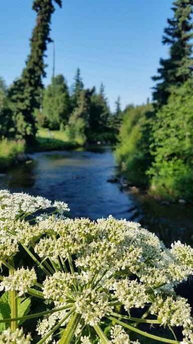 Moose Meadows- Near The Airport, Centrally Located Anchorage Bagian luar foto
