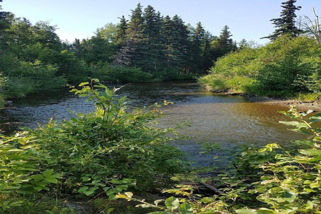 Moose Meadows- Near The Airport, Centrally Located Anchorage Bagian luar foto